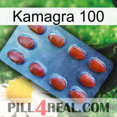 Kamagra 100 06